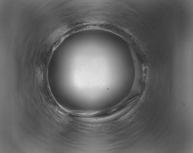 X0000078271257200611031133