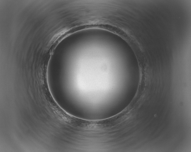 X0000078271265200611031133