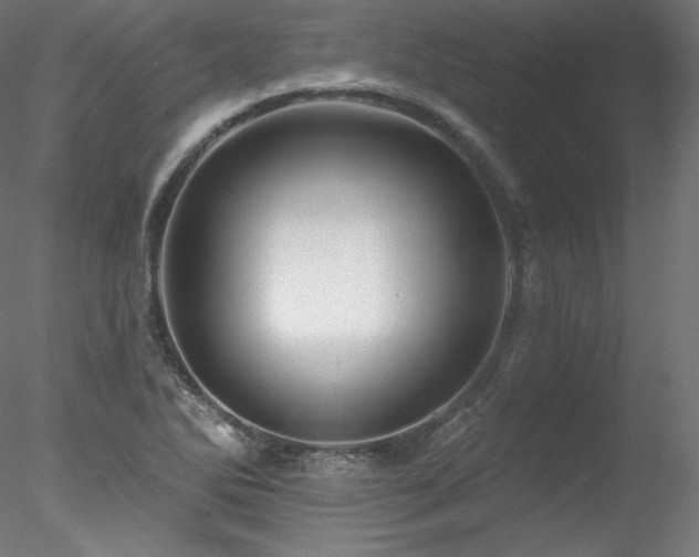 X0000078271270200611031133