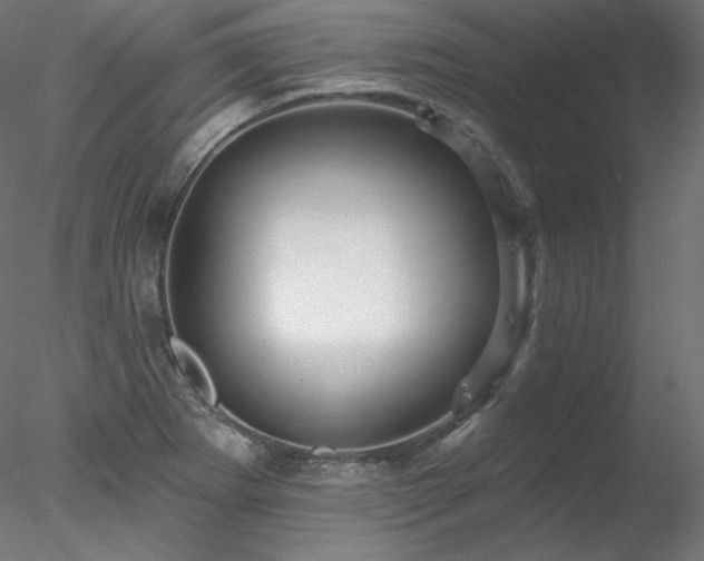 X0000078271273200611031133