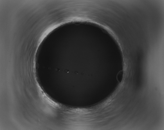 X0000078271287200611031133