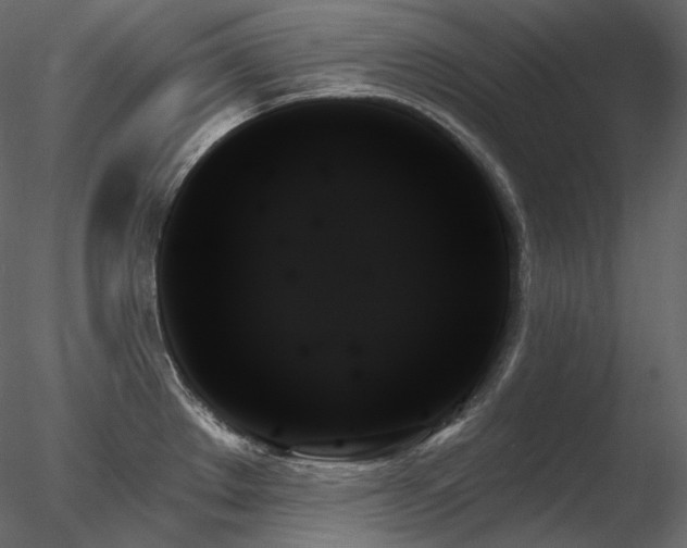 X0000078271289200611031133