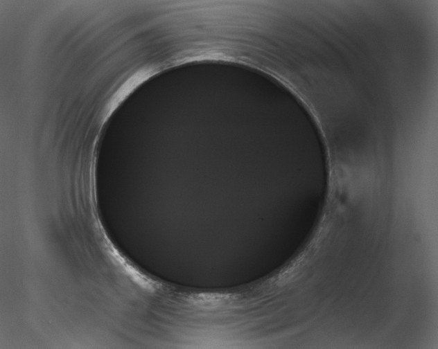 X0000078271290200611031133