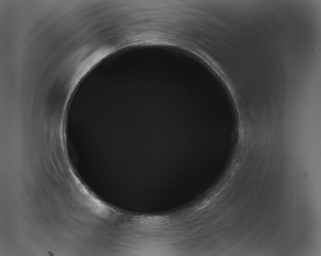 X0000078271293200611031133