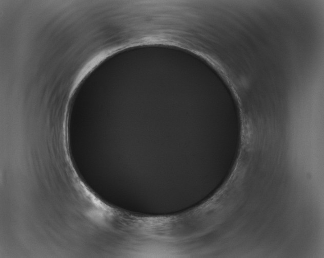 X0000078271294200611031133