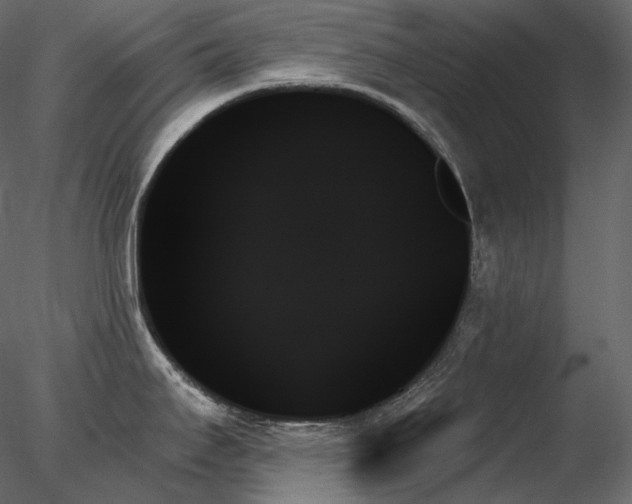 X0000078271295200611031133