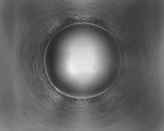 X0000078271297200611031132