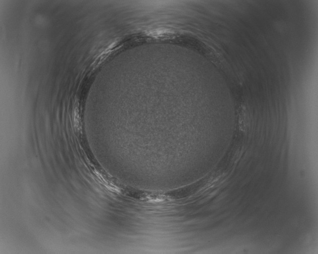 X0000078271298200611031132