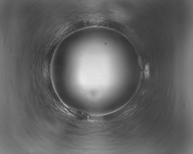 X0000078271299200611031132