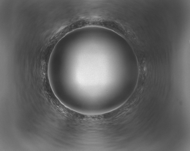 X0000078271301200611031132