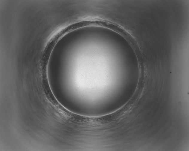 X0000078271311200611031132