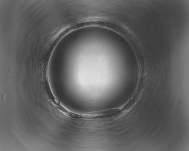 X0000078271313200611031132