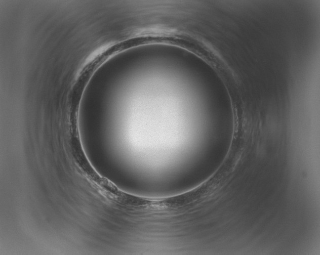 X0000078271315200611031132