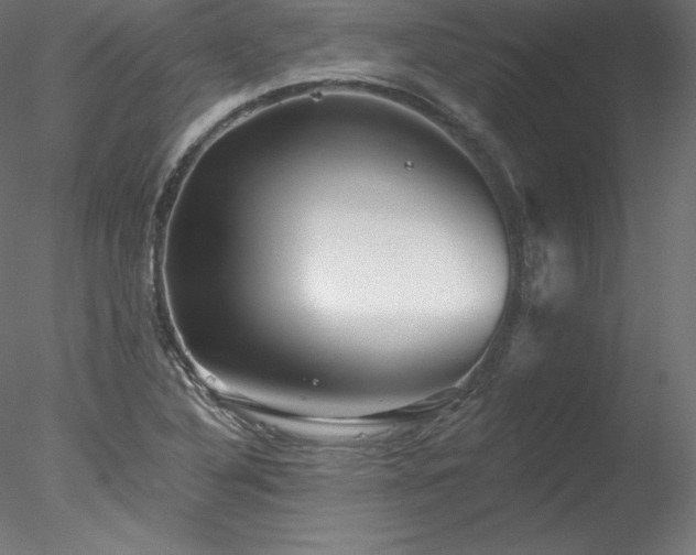 X0000078271316200611031132