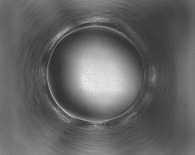 X0000078271321200611031132