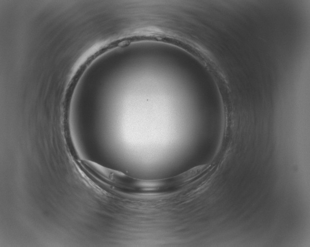 X0000078271326200611031132