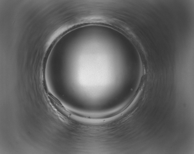 X0000078271328200611031132