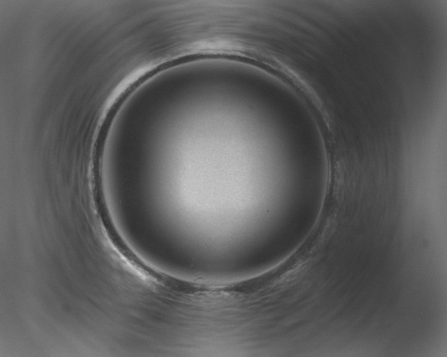 X0000078271331200611031132