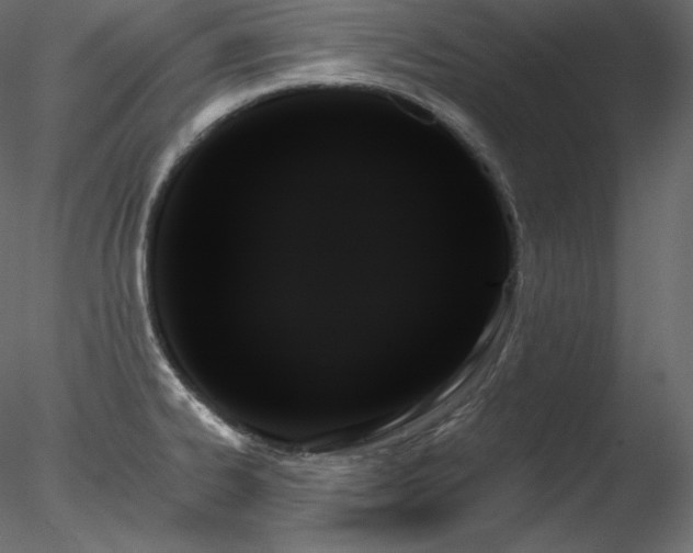X0000078271334200611031132