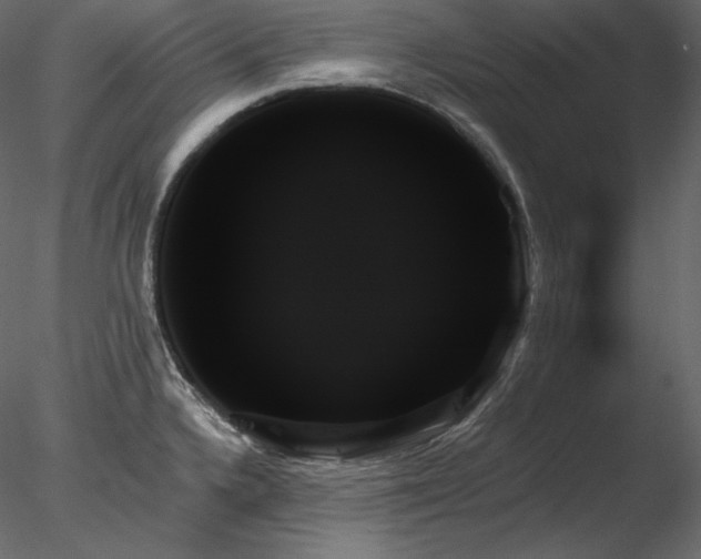 X0000078271336200611031132