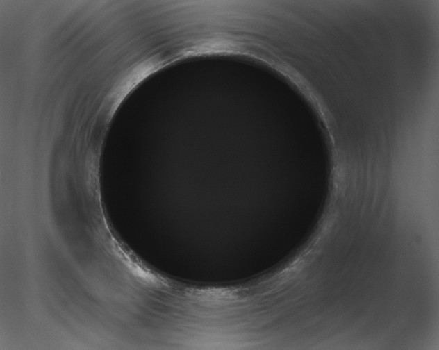 X0000078271337200611031132
