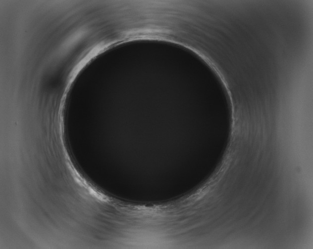 X0000078271341200611031132