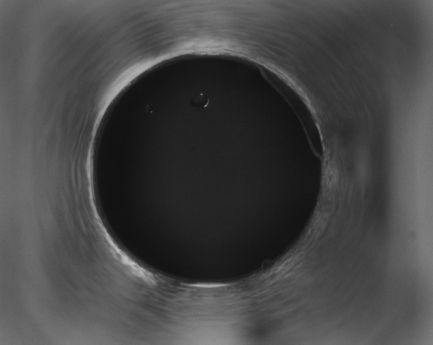 X0000078271343200611031133