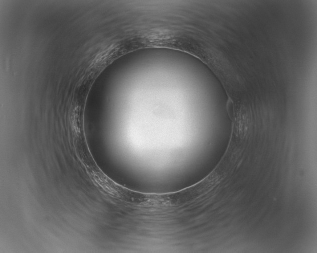 X0000078271346200611031132