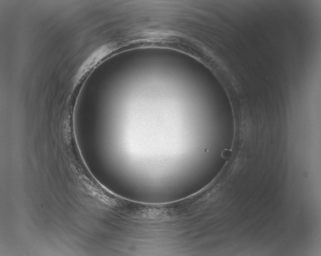 X0000078271362200611031131