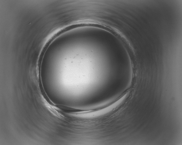X0000078271372200611031131