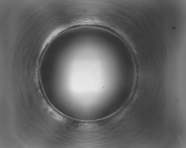 X0000078271374200611031131
