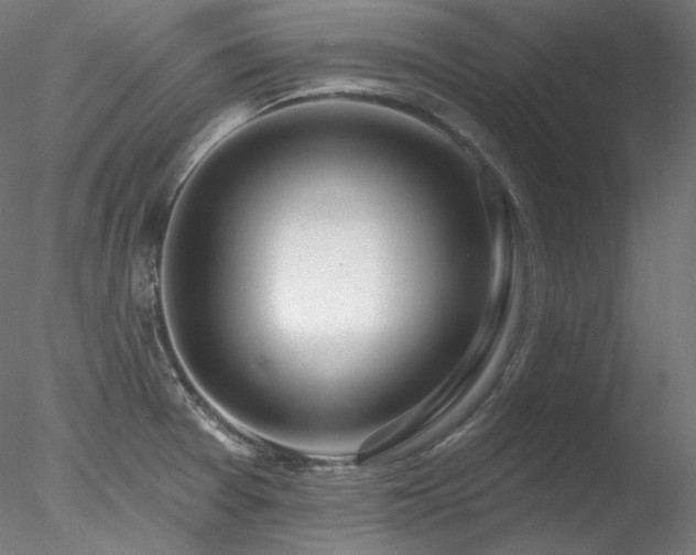 X0000078271377200611031131