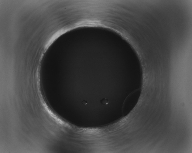 X0000078271382200611031131