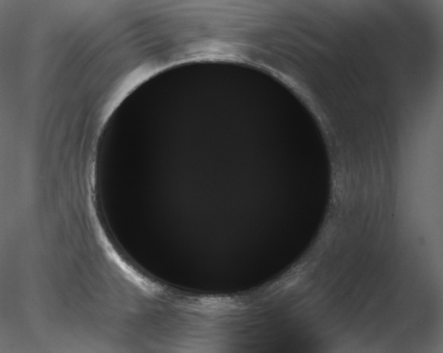 X0000078271383200611031131