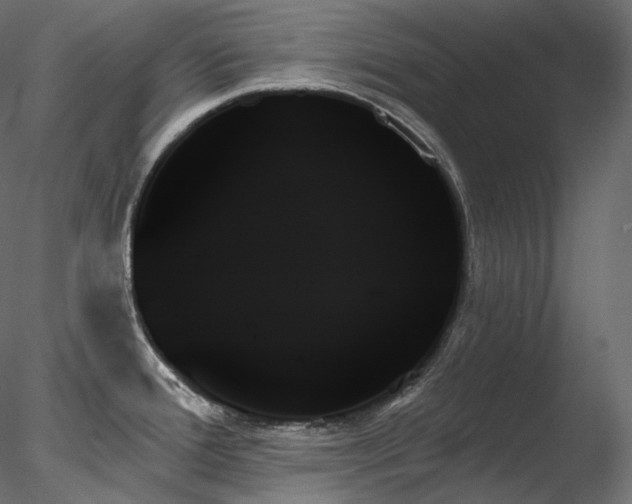 X0000078271388200611031131