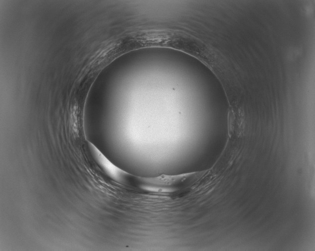 X0000078271394200611031130