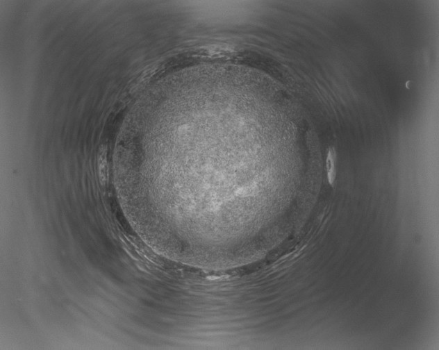 X0000078271395200611031130