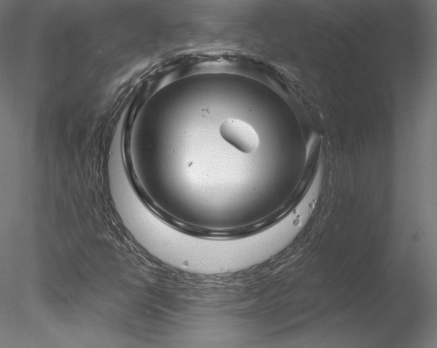X0000078271398200611031130
