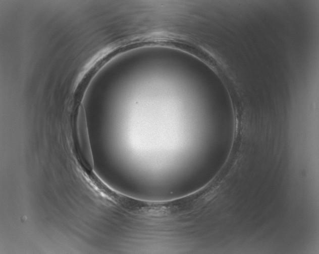 X0000078271410200611031130