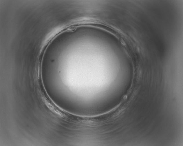 X0000078271413200611031130