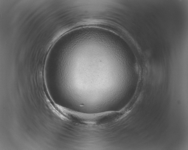 X0000078271417200611031131