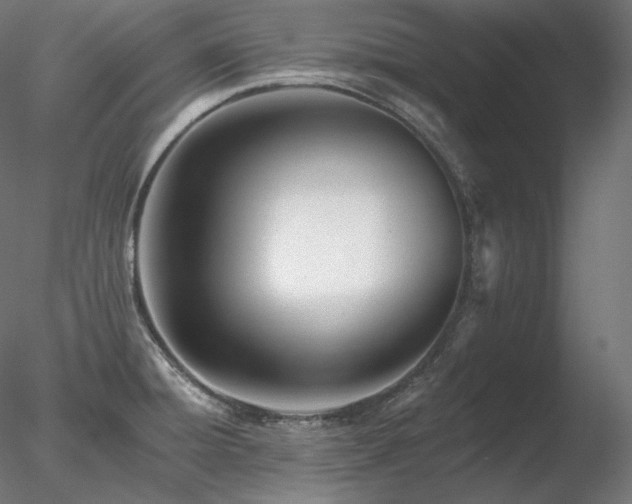 X0000078271428200611031131