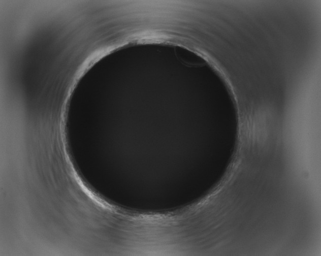 X0000078271429200611031131