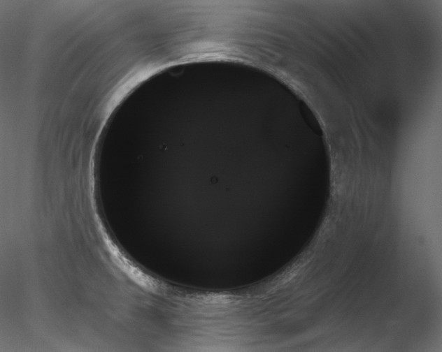 X0000078271431200611031131