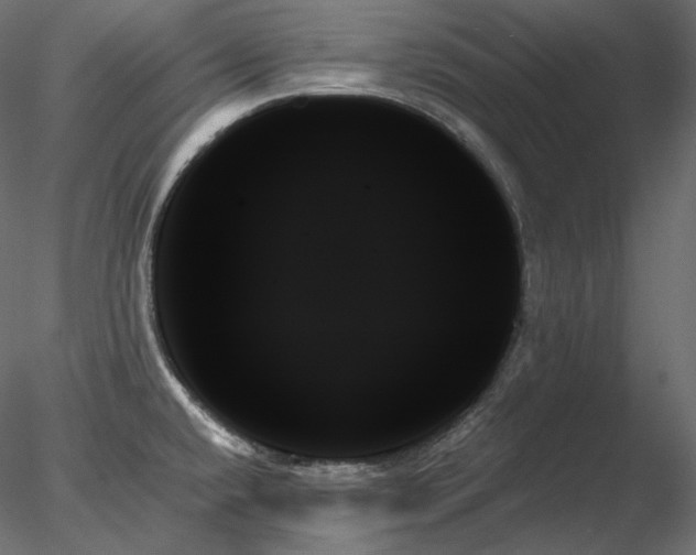 X0000078271432200611031131