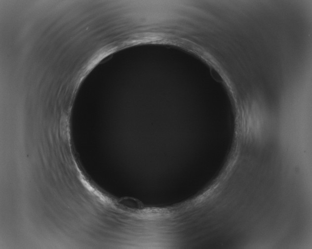 X0000078271433200611031131