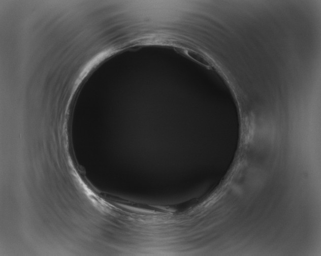 X0000078271434200611031131