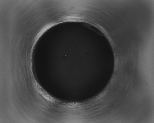 X0000078271435200611031131