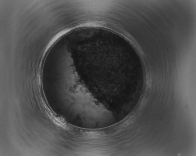 X0000078271436200611031131