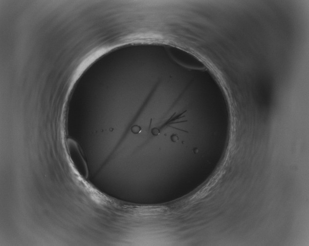 X0000078271440200611031131